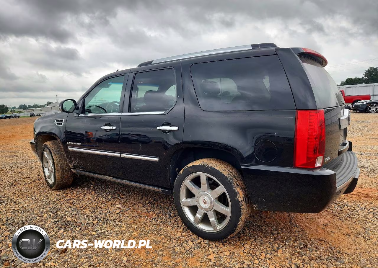 2009 Cadillac Escalade Luxury VIN:1GYFK23289R197841 - 2