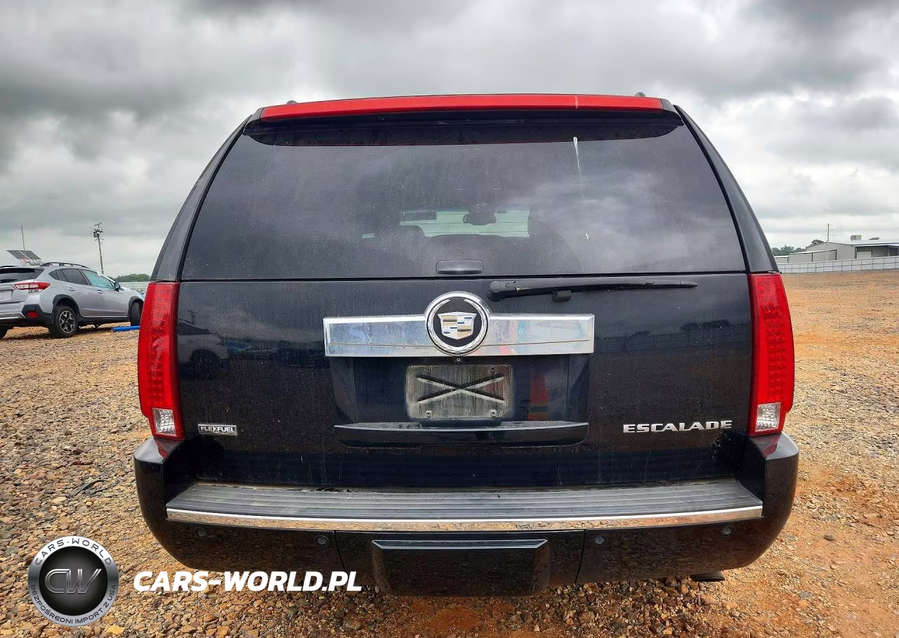 2009 Cadillac Escalade Luxury VIN:1GYFK23289R197841 - 6