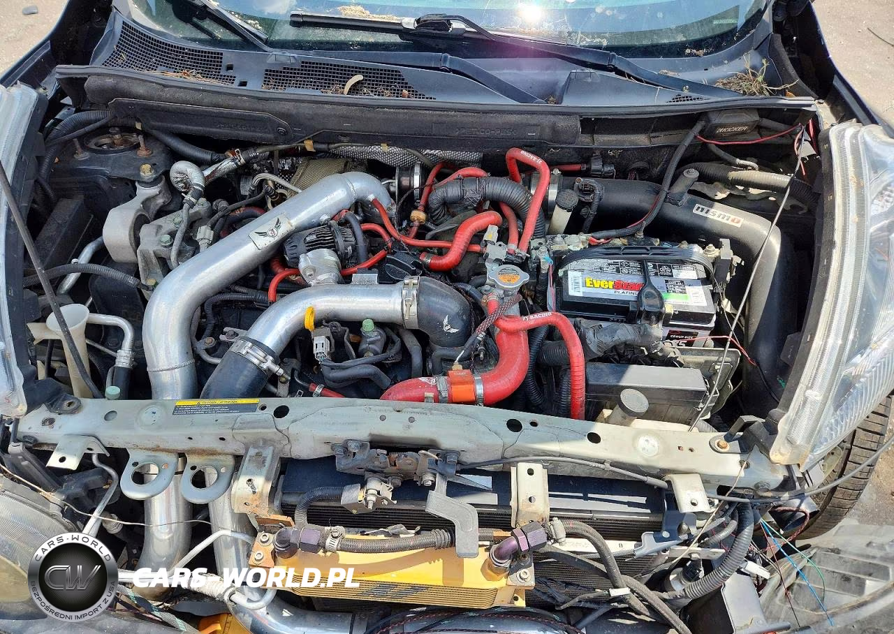 2014 Nissan Juke Nismo Rs VIN:JN8DF5MV1ET150051 - 11