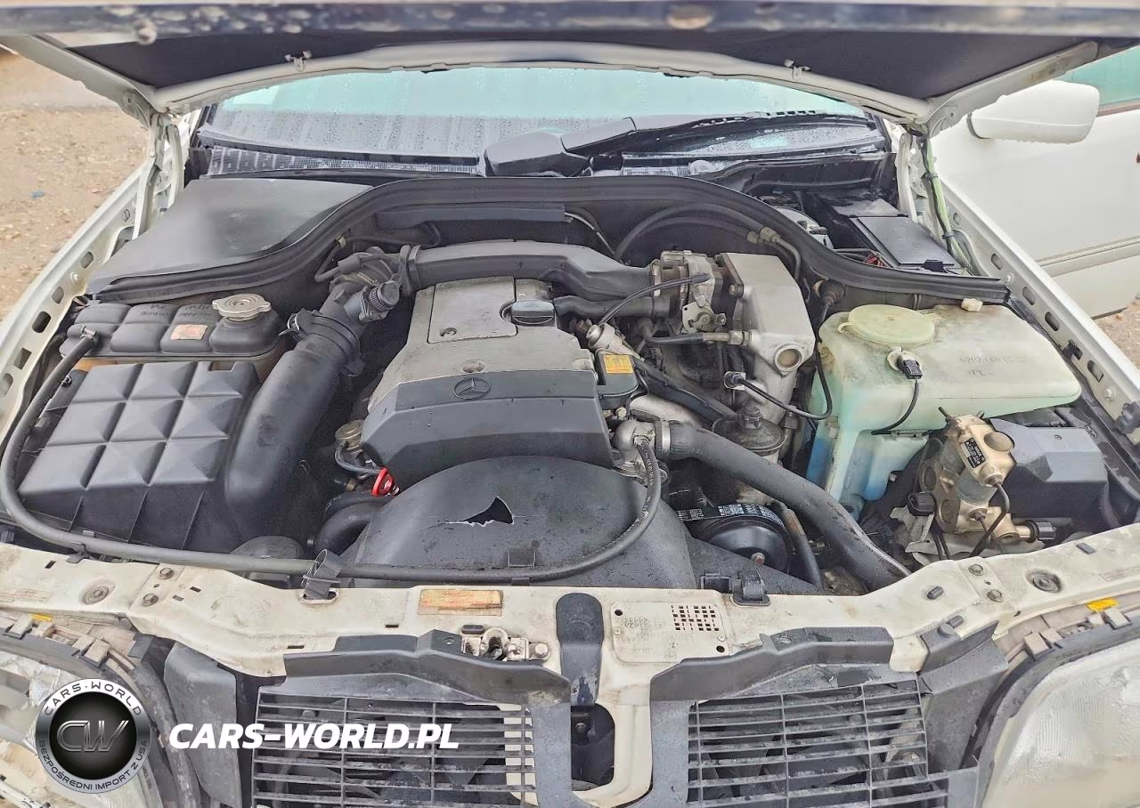 1994 Mercedes-Benz C 220 VIN:WDBHA22E8RF038203 - 11