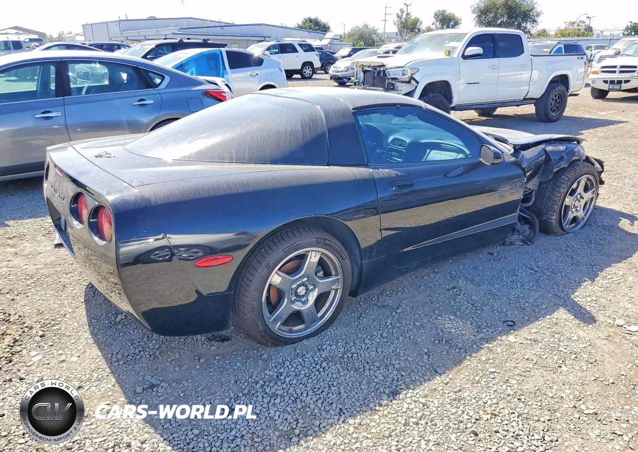 1999 Chevrolet Corvette VIN:1G1YY22G5X5123252 - 3