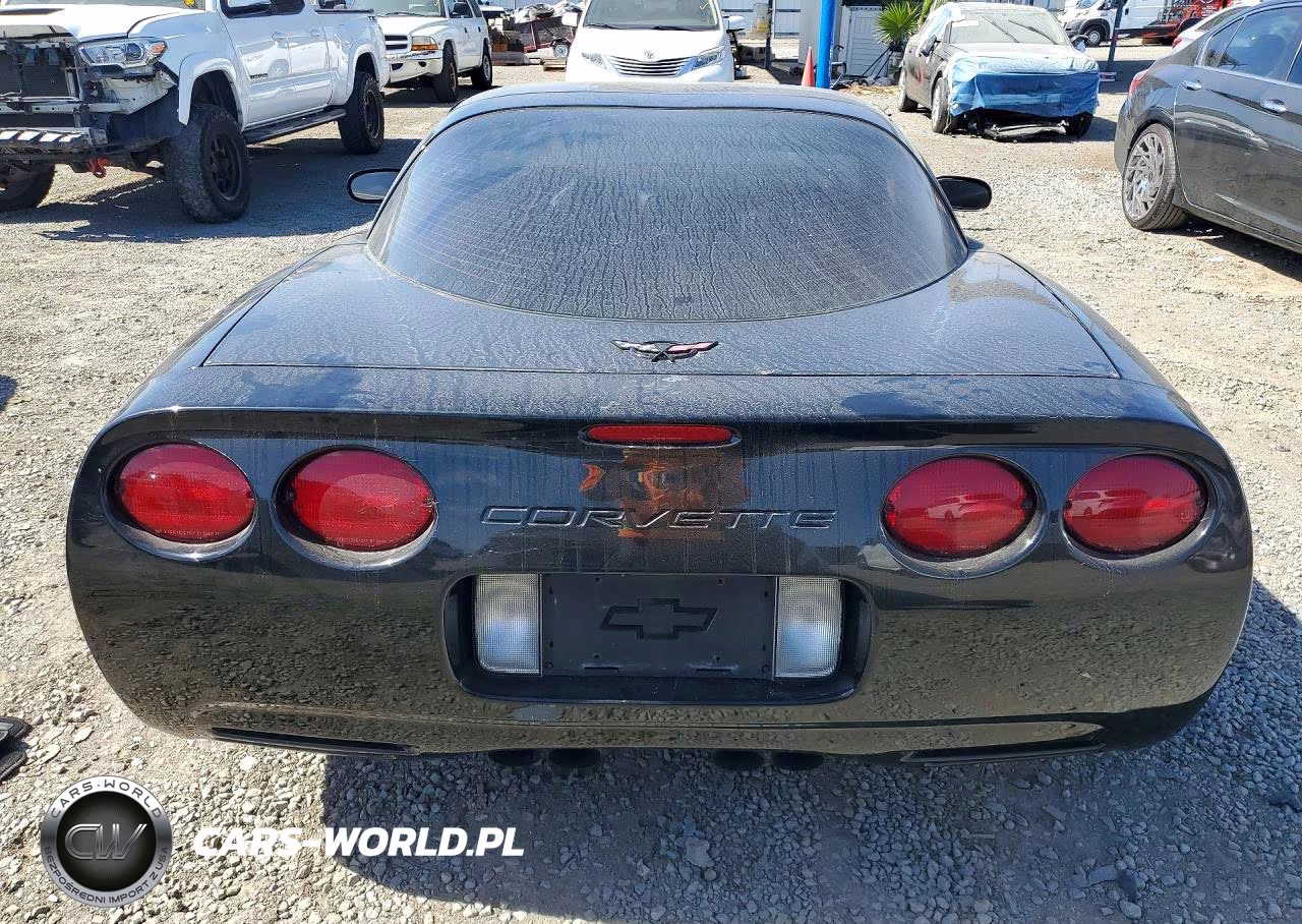 1999 Chevrolet Corvette VIN:1G1YY22G5X5123252 - 6