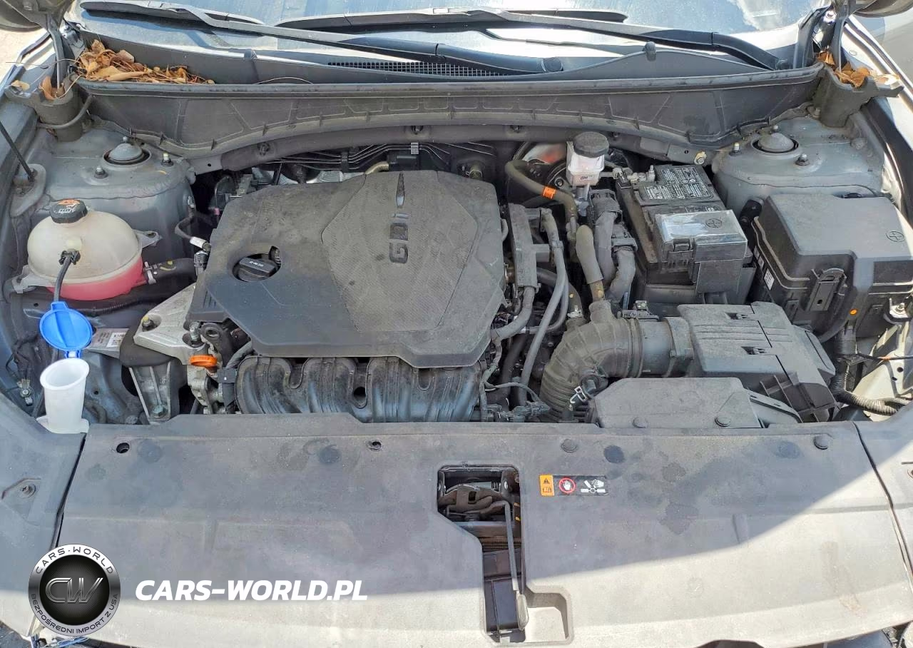 2024 Hyundai Tucson Sel VIN:5NMJF3DE6RH337621 - 12