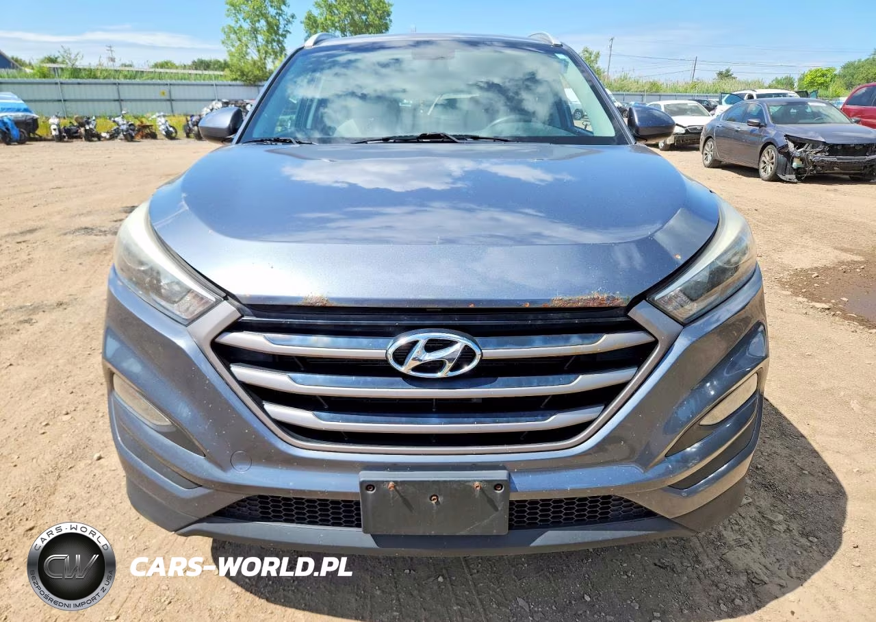2016 Hyundai Tucson Se VIN:KM8J33A46GU229442 - 5
