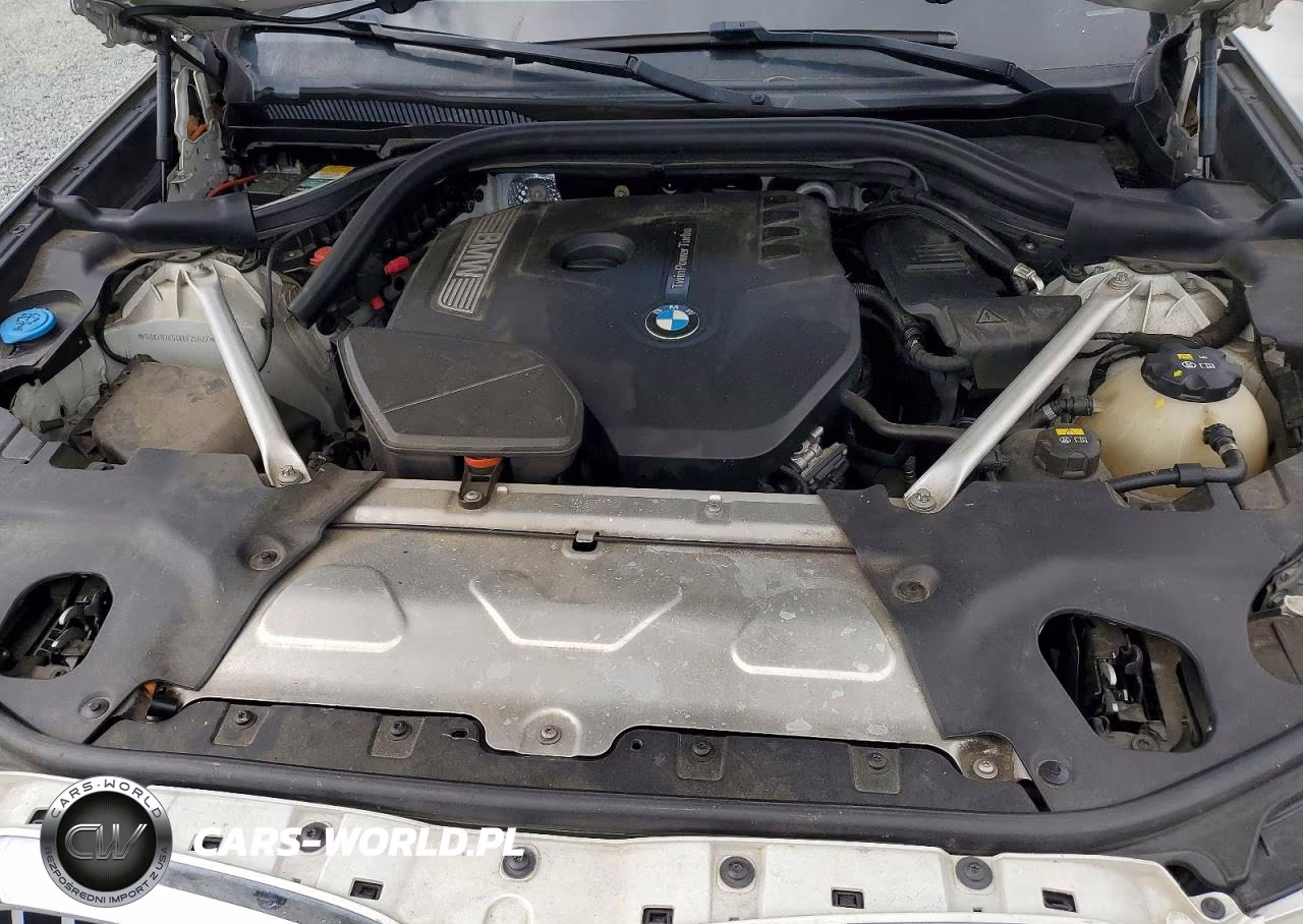 2019 BMW X3 Sdrive30I VIN:5UXTR7C54KLF25522 - 12