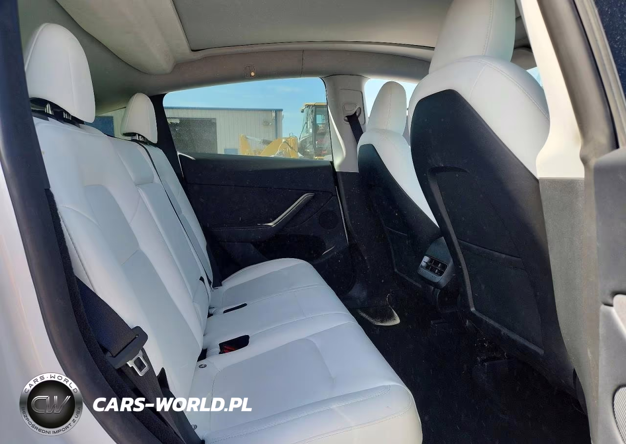 2024 Tesla Model Y VIN:7SAYGDEE1RA257953 - 10