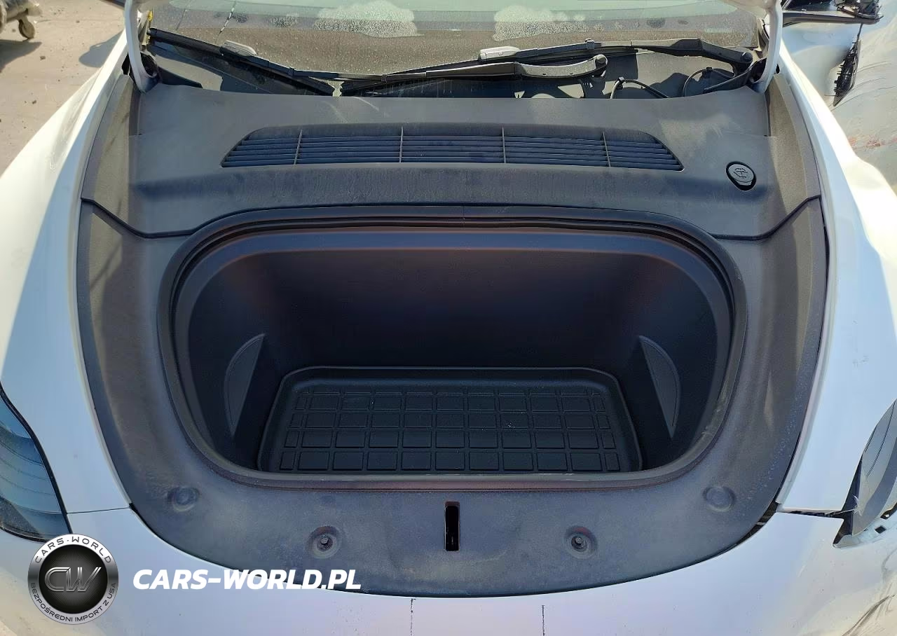 2024 Tesla Model Y VIN:7SAYGDEE1RA257953 - 11