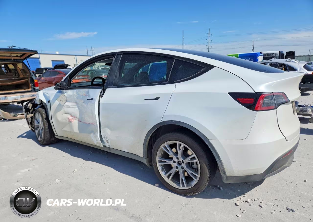 2024 Tesla Model Y VIN:7SAYGDEE1RA257953 - 2