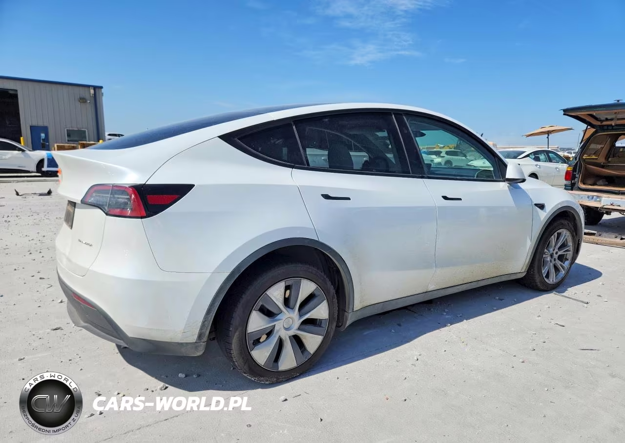 2024 Tesla Model Y VIN:7SAYGDEE1RA257953 - 3