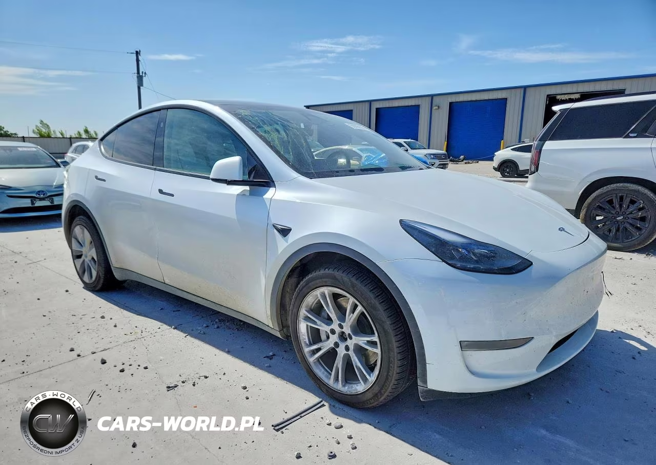 2024 Tesla Model Y VIN:7SAYGDEE1RA257953 - 4