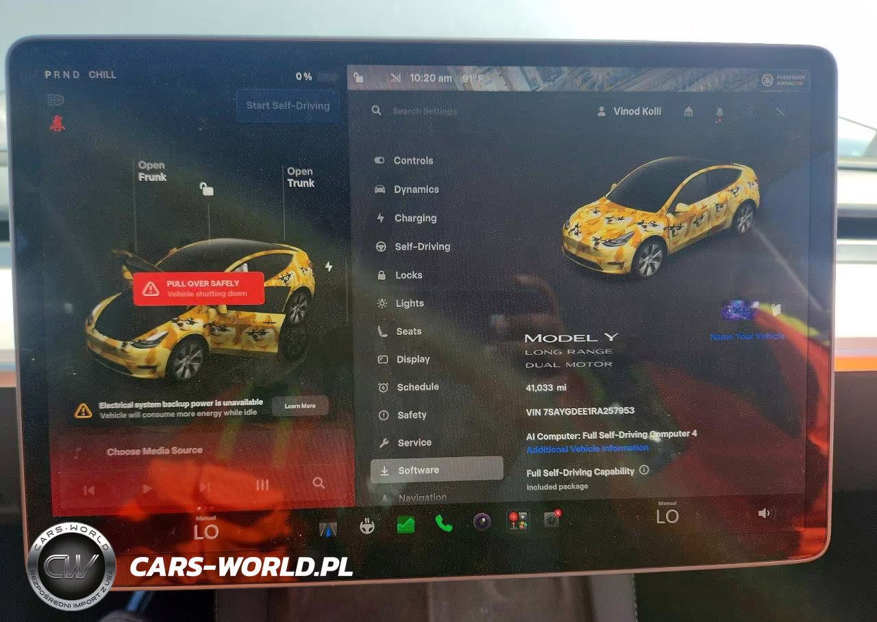 2024 Tesla Model Y VIN:7SAYGDEE1RA257953 - 9