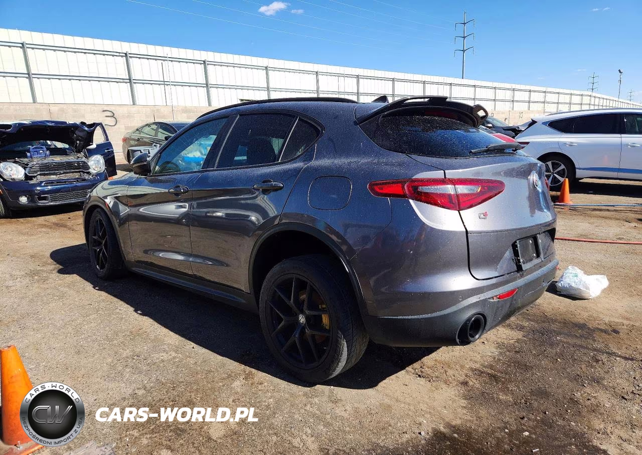 2019 Alfa Romeo Stelvio VIN:ZASPAKAN4K7C49064 - 2