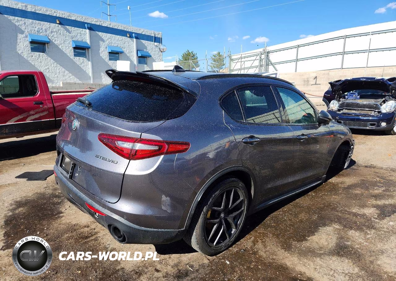 2019 Alfa Romeo Stelvio VIN:ZASPAKAN4K7C49064 - 3