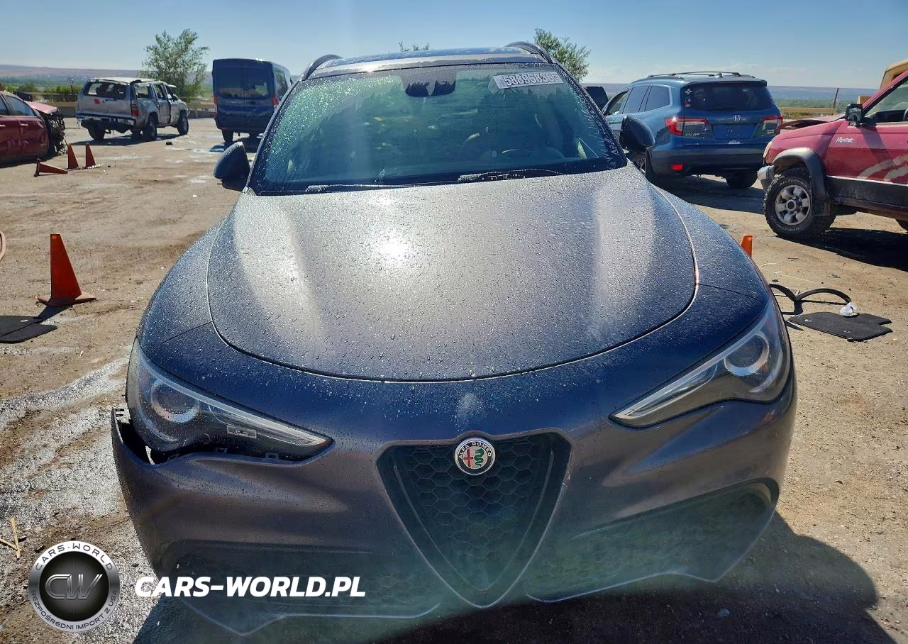2019 Alfa Romeo Stelvio VIN:ZASPAKAN4K7C49064 - 5