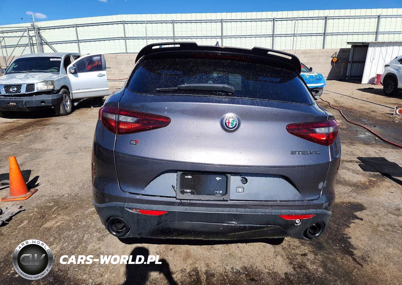 2019 Alfa Romeo Stelvio VIN:ZASPAKAN4K7C49064 - 6