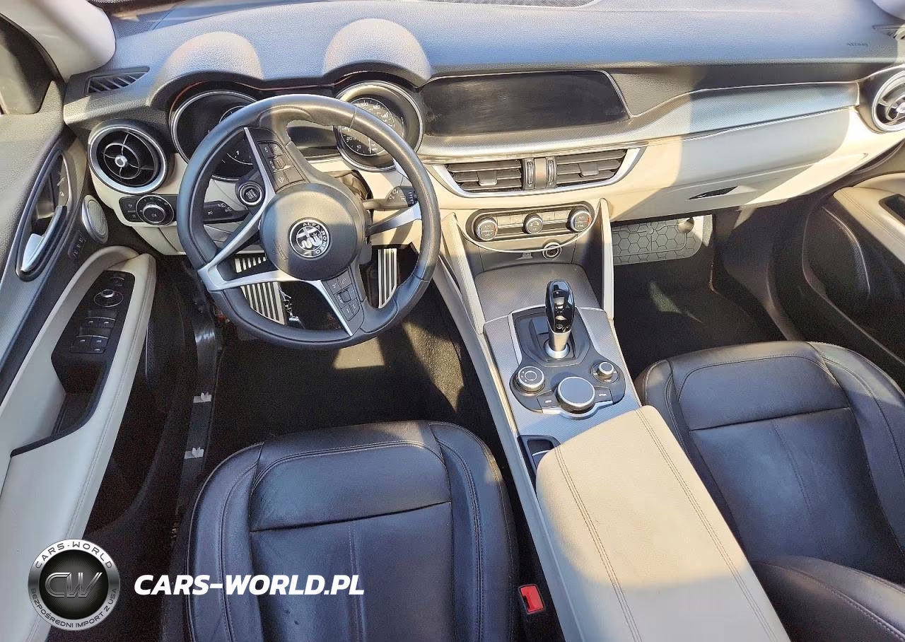 2019 Alfa Romeo Stelvio VIN:ZASPAKAN4K7C49064 - 8