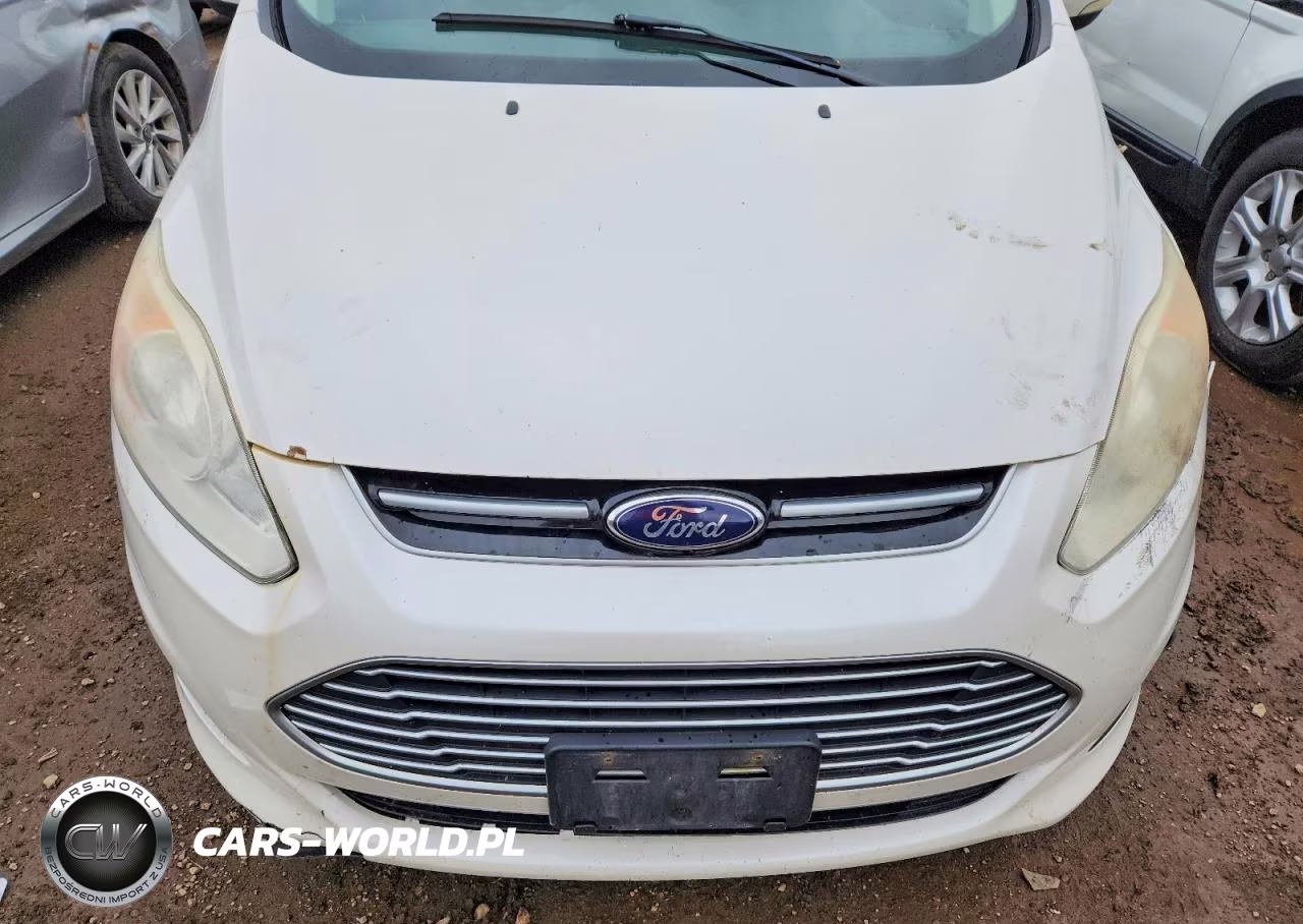 2013 Ford C-Max Premium VIN:1FADP5CU1DL556983 - 11