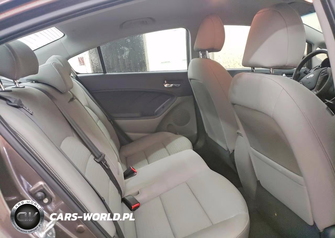2014 Kia Forte Lx VIN:KNAFX4A62E5195560 - 10