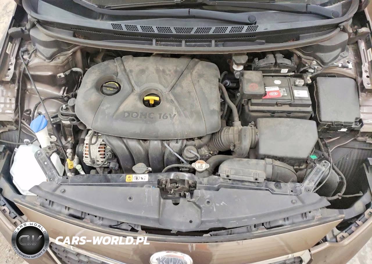 2014 Kia Forte Lx VIN:KNAFX4A62E5195560 - 11