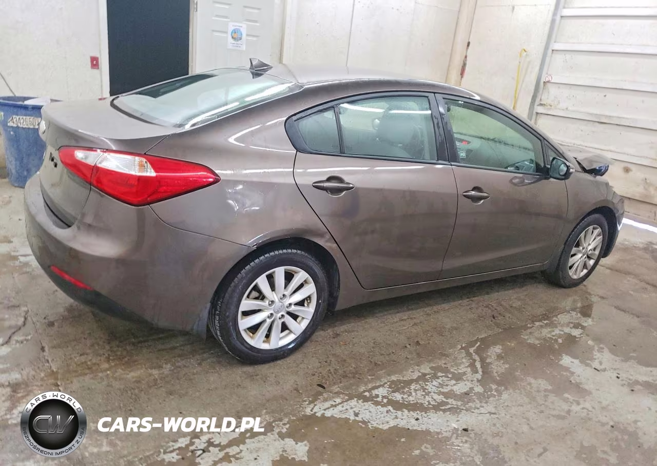 2014 Kia Forte Lx VIN:KNAFX4A62E5195560 - 3