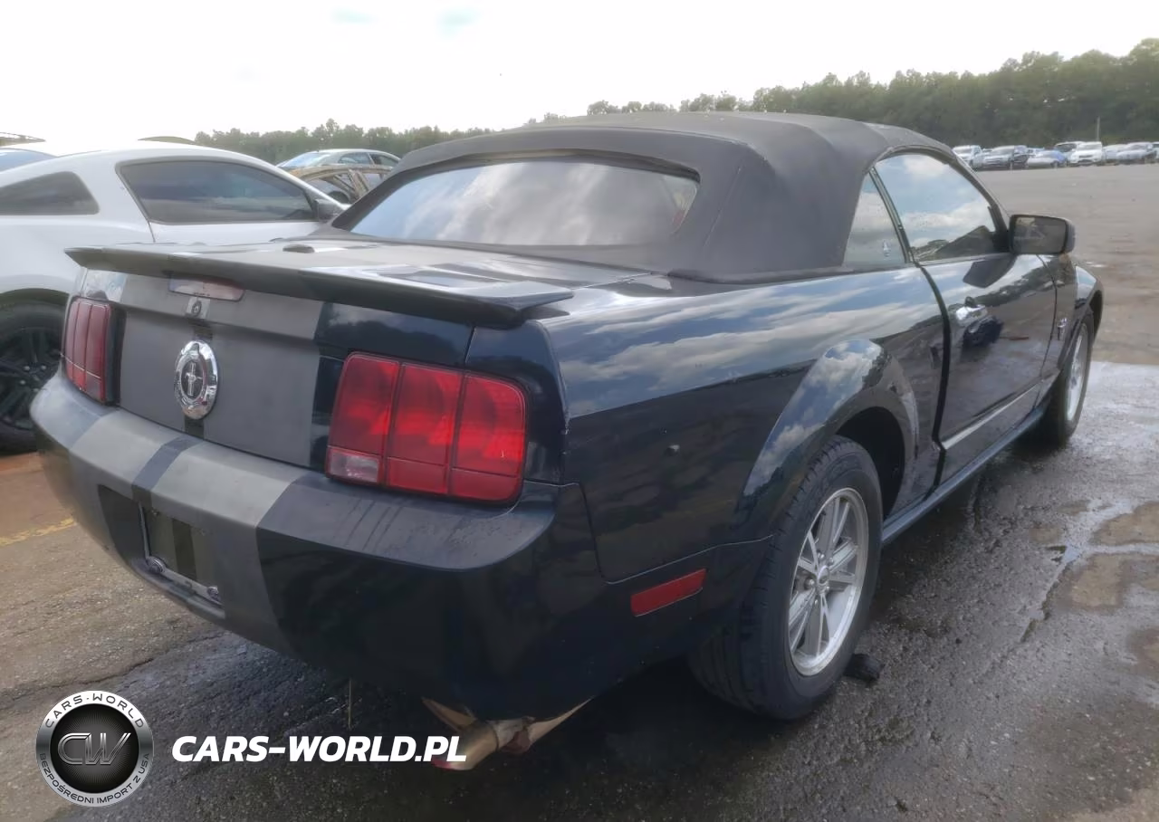 2009 Ford Mustang VIN:1ZVHT84N895118292 - 4
