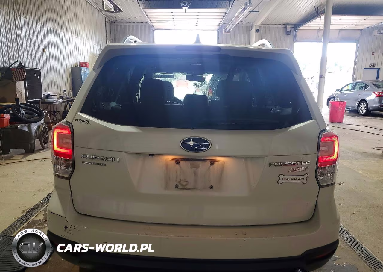 2017 Subaru Forester 2.5I Premium VIN:JF2SJAEC3HH535689 - 6