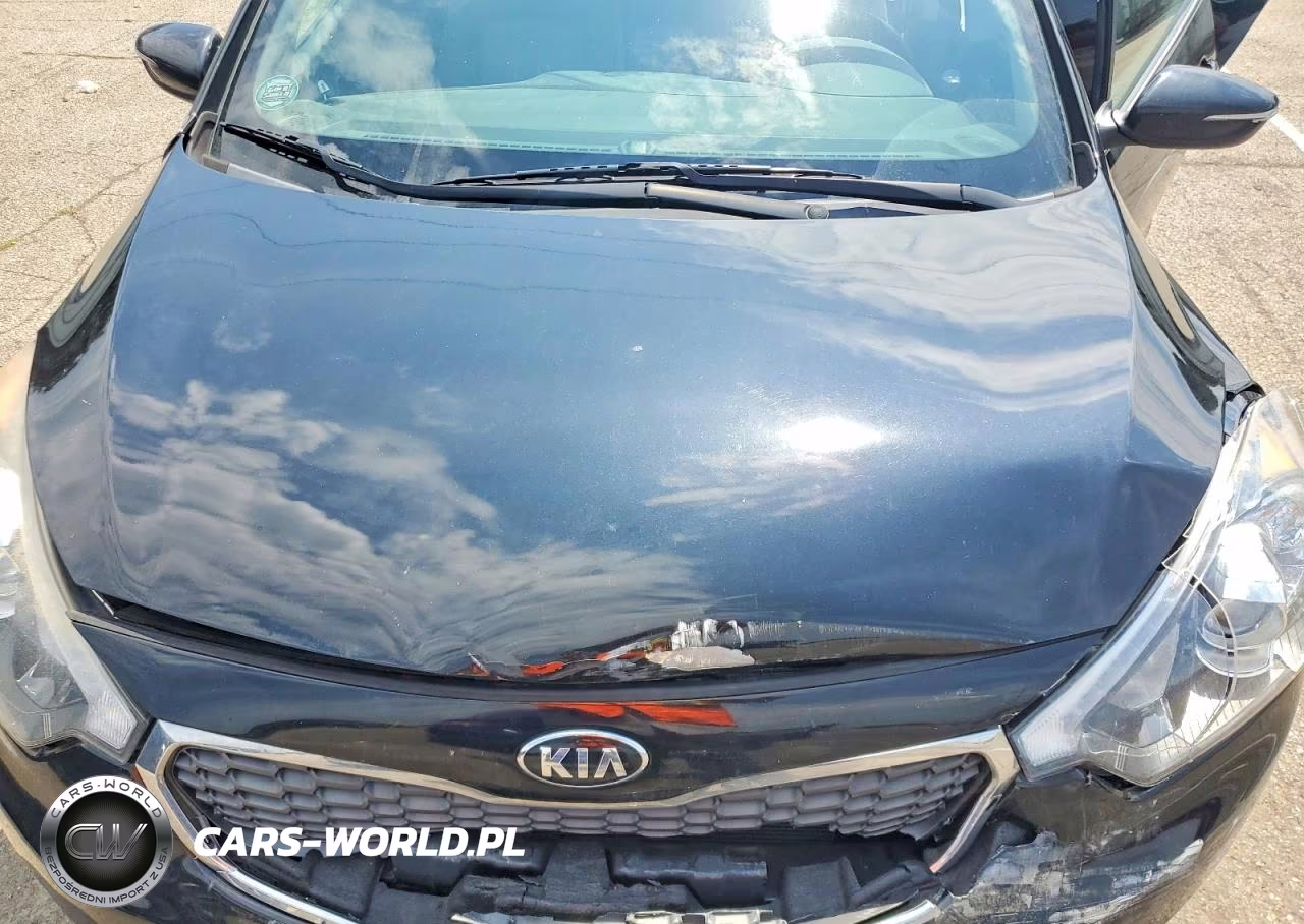 2015 Kia Forte Ex VIN:KNAFX5A86F5363953 - 11
