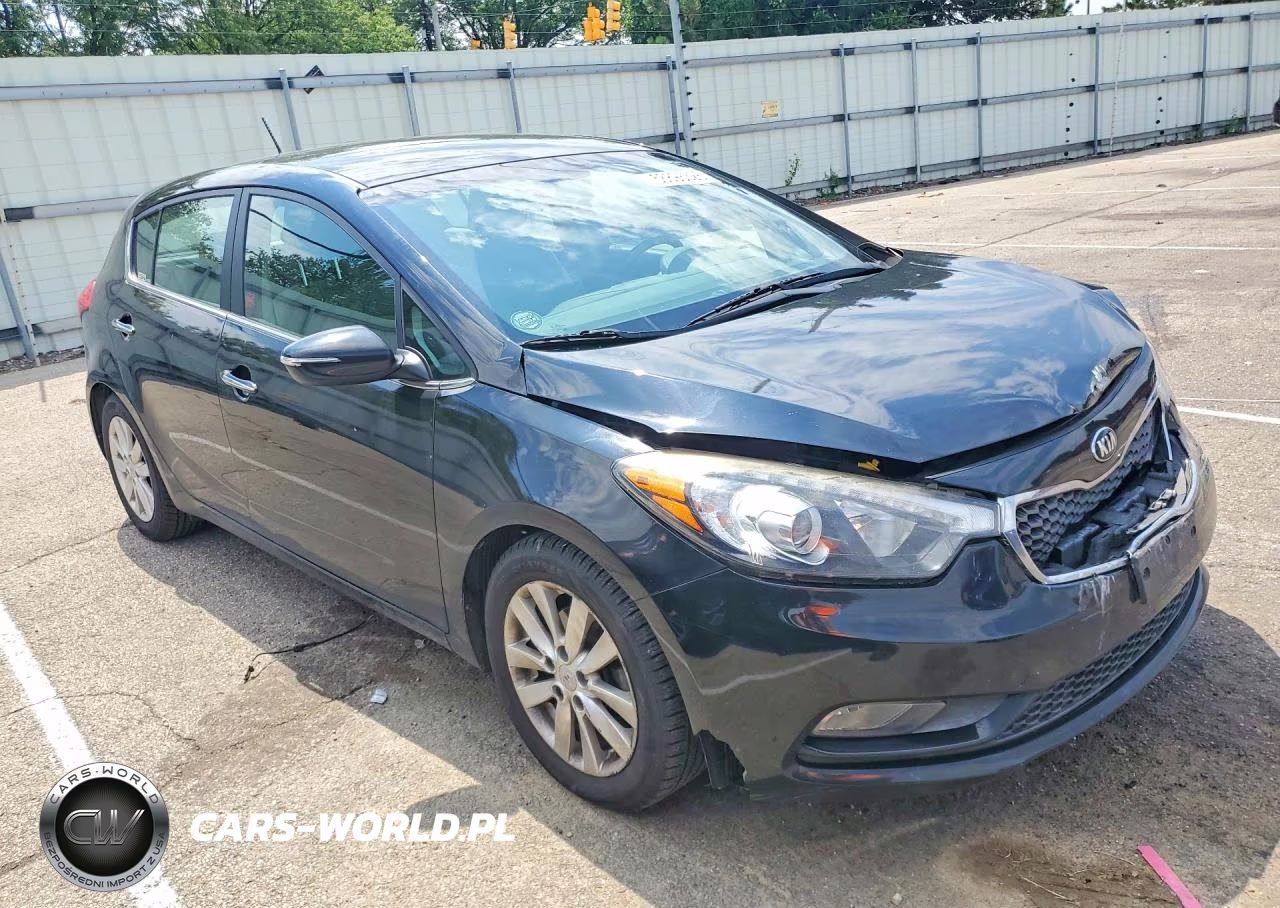 2015 Kia Forte Ex VIN:KNAFX5A86F5363953 - 4