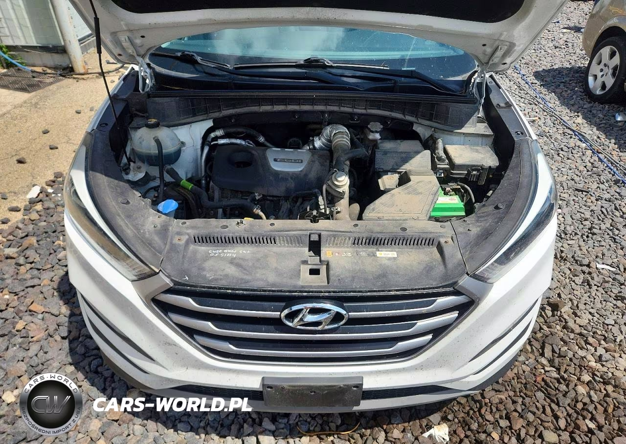 2018 Hyundai Tucson Value VIN:KM8J3CA25JU687740 - 12