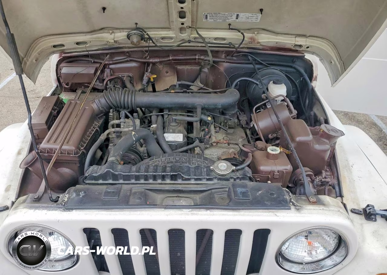 1997 Jeep Wrangler - Tj Sahara VIN:1J4FY49S7VP520381 - 12