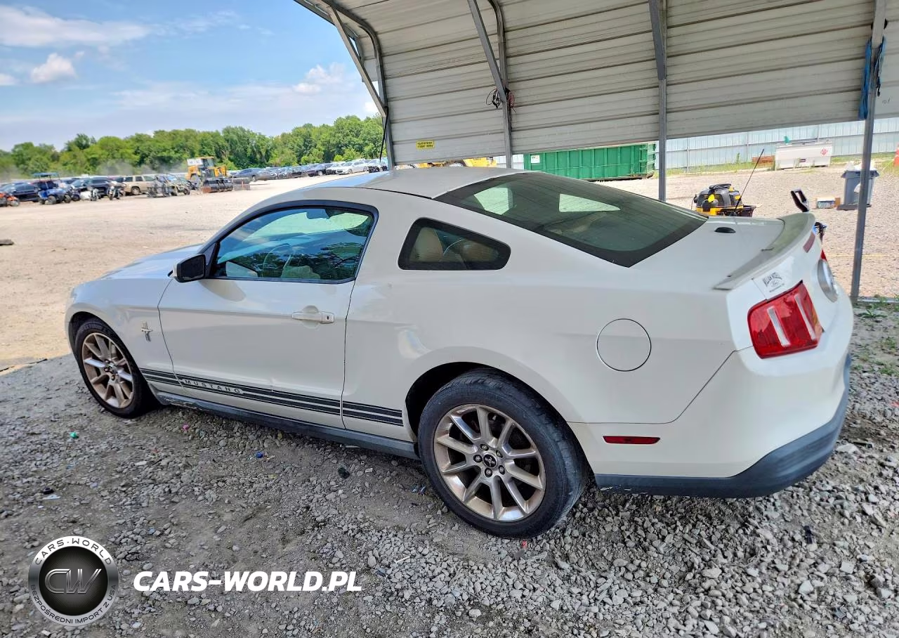2010 Ford Mustang VIN:1ZVBP8AN6A5104393 - 2