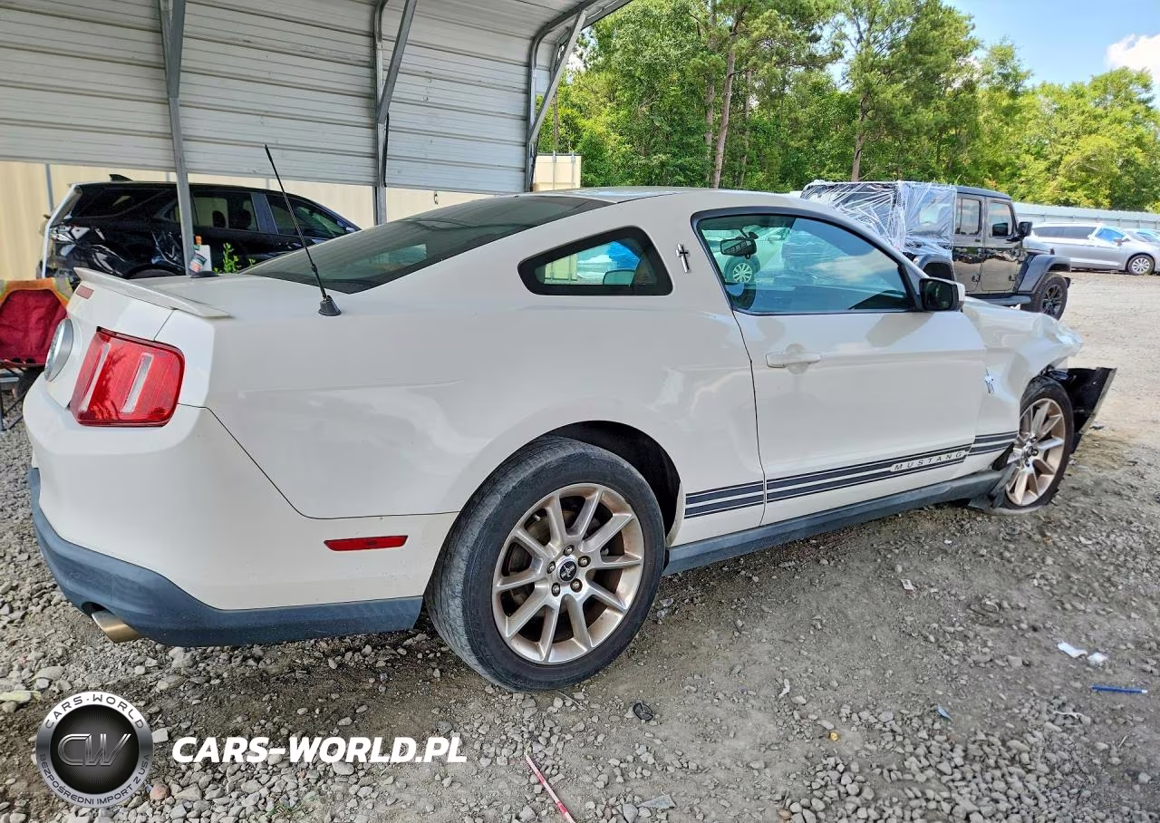 2010 Ford Mustang VIN:1ZVBP8AN6A5104393 - 3