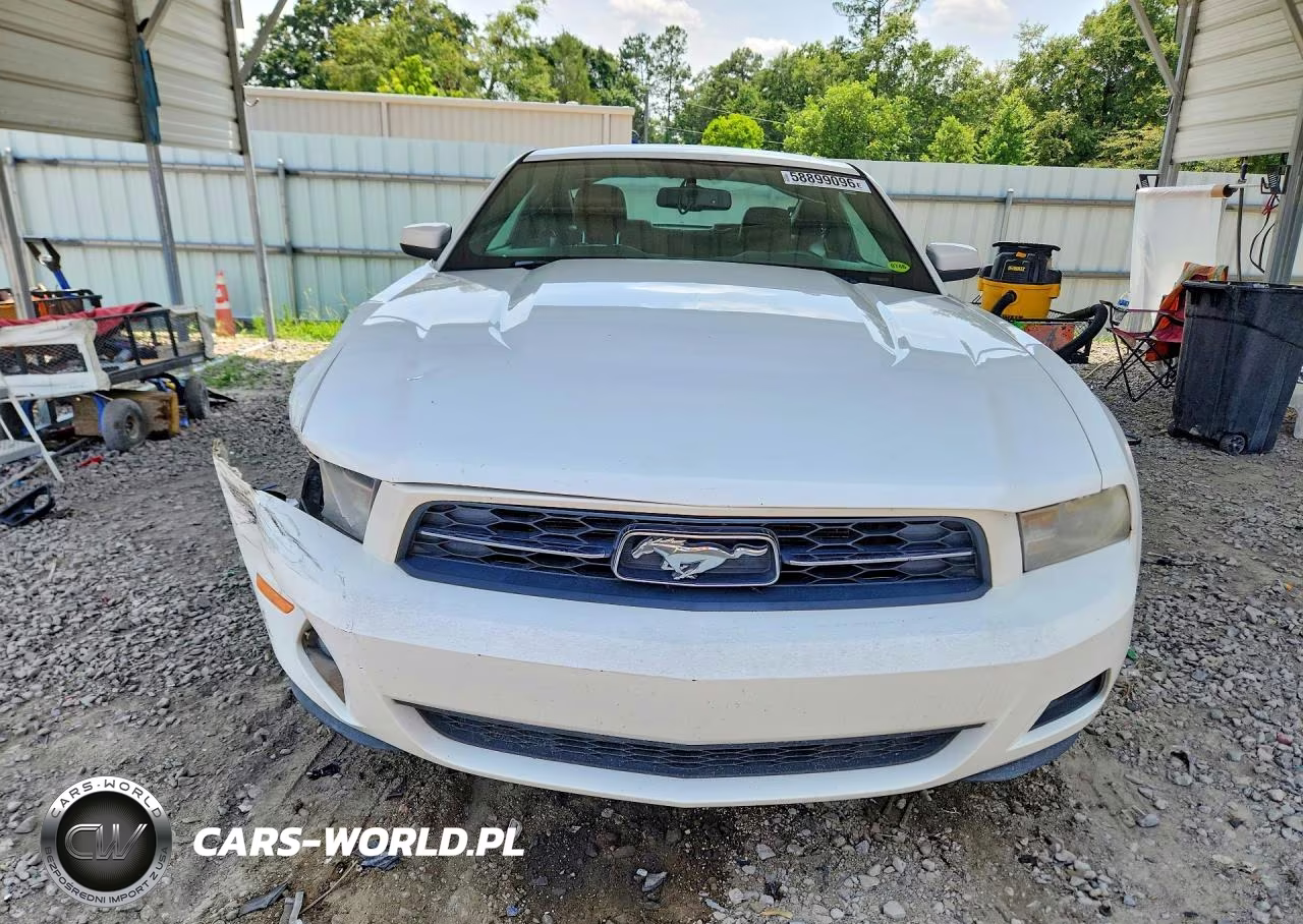 2010 Ford Mustang VIN:1ZVBP8AN6A5104393 - 5
