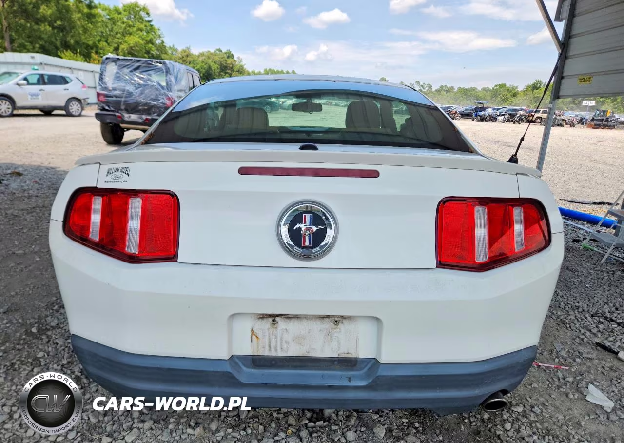 2010 Ford Mustang VIN:1ZVBP8AN6A5104393 - 6