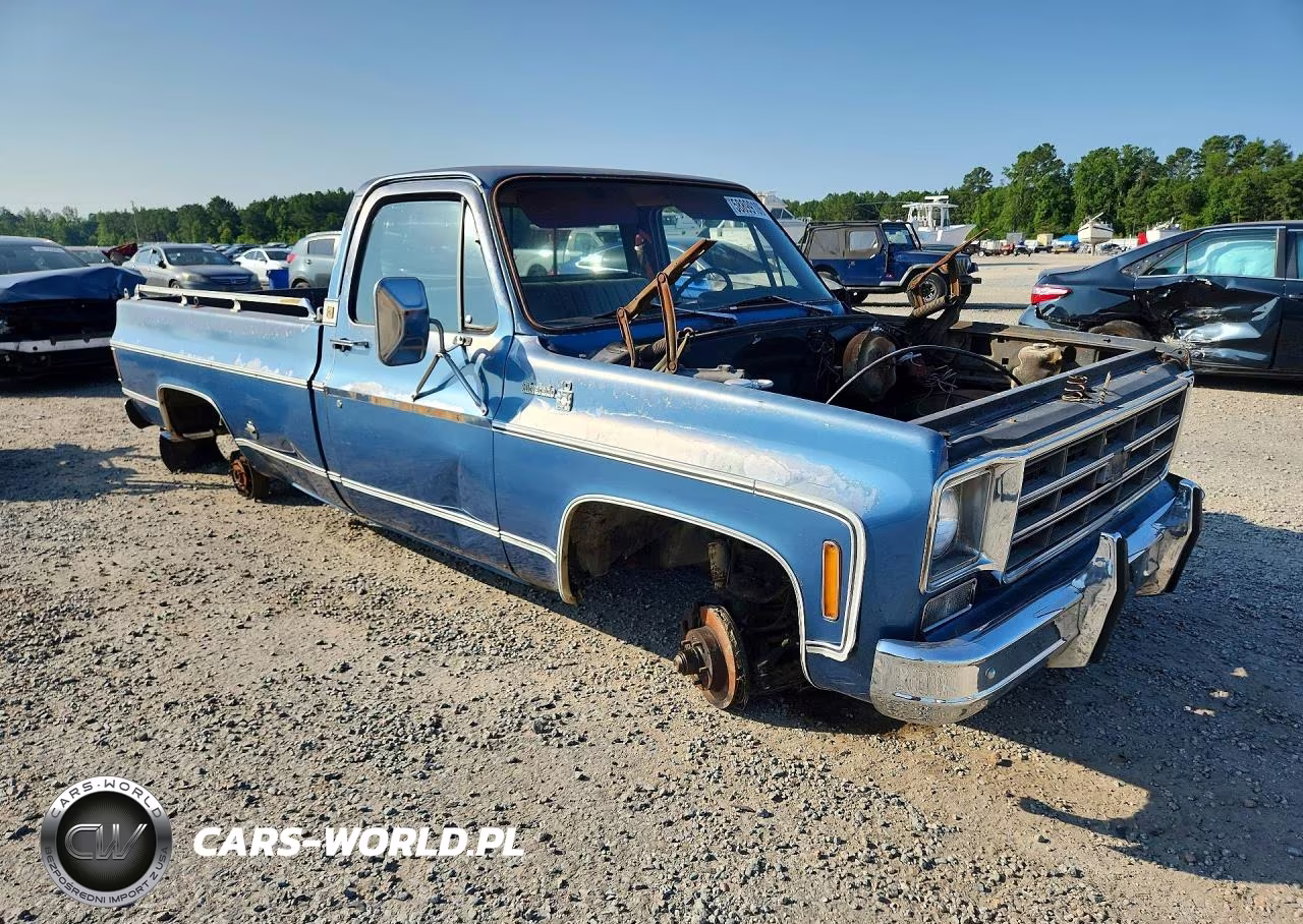 1978 Chevrolet C10 VIN:CCS448A126631 - 4