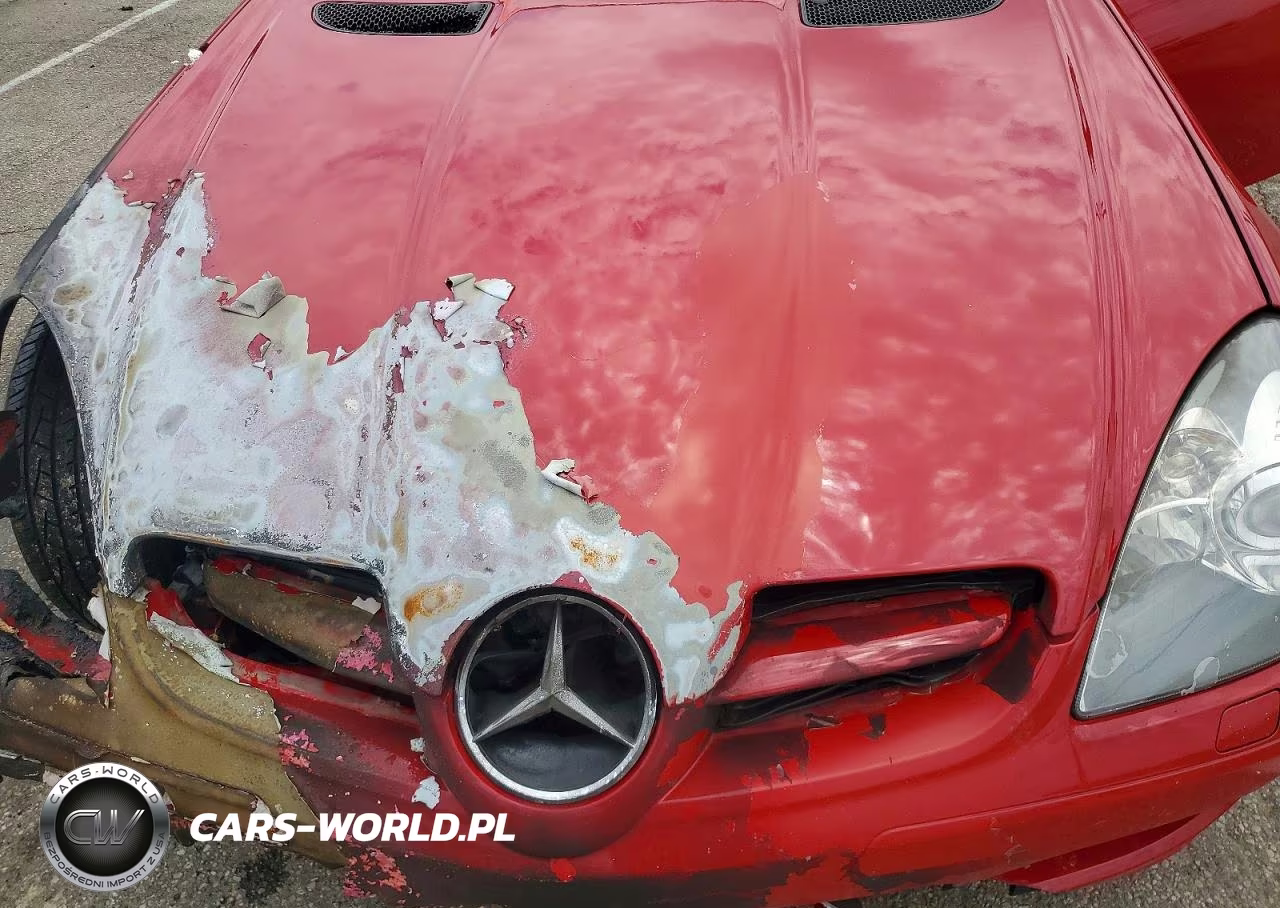 2007 Mercedes-Benz Slk 280 VIN:WDBWK54F37F167703 - 11