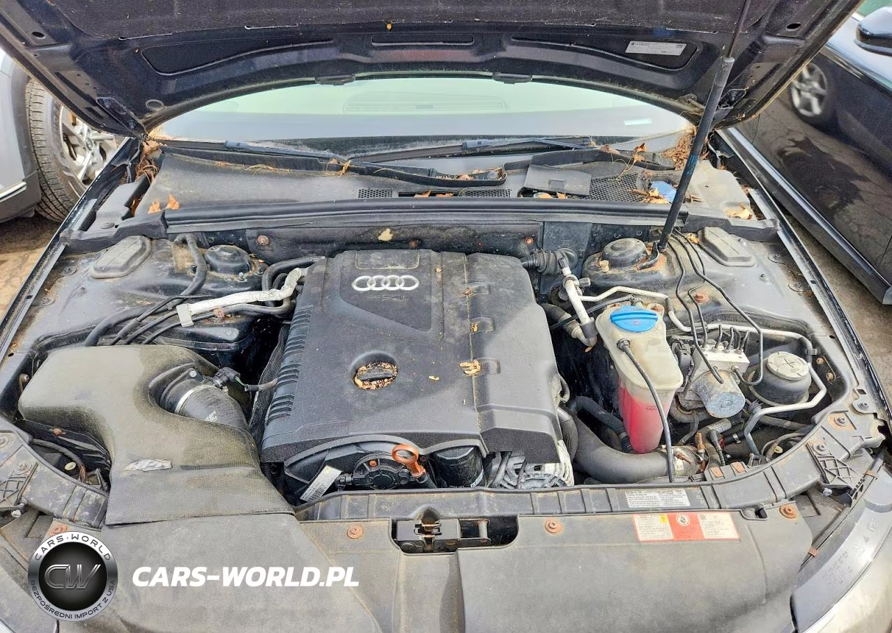 2009 Audi A4 Premium Plus VIN:WAUSF78K09N054904 - 11