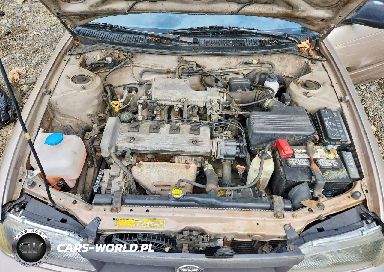 1995 Toyota Corolla Base VIN:2T1AE04B3SC071011 - 11