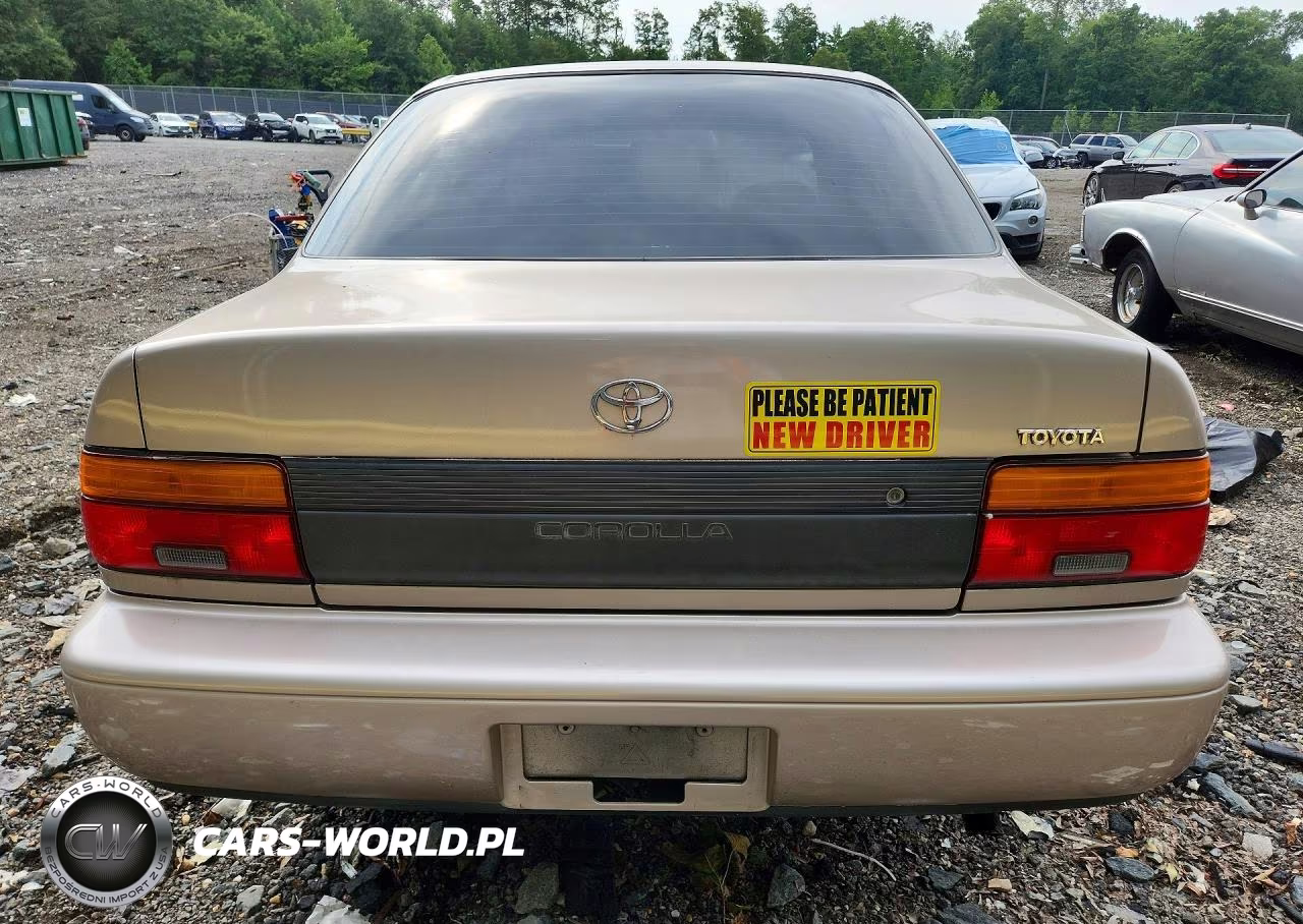 1995 Toyota Corolla Base VIN:2T1AE04B3SC071011 - 6