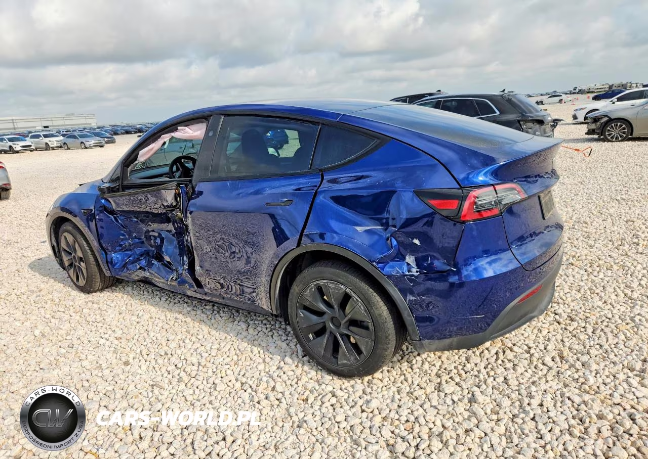 2024 Tesla Model Y VIN:7SAYGDEE3RA316968 - 2