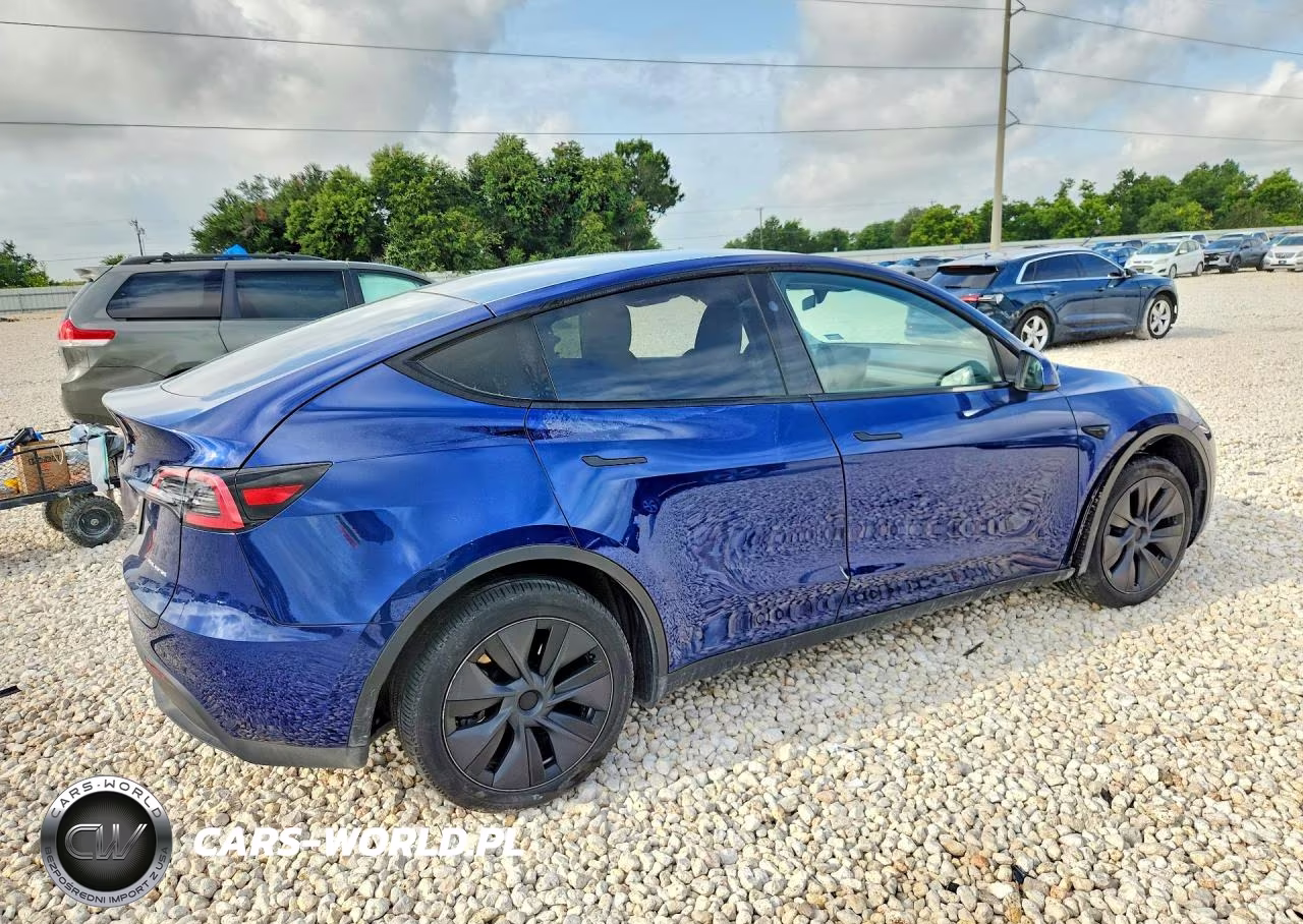 2024 Tesla Model Y VIN:7SAYGDEE3RA316968 - 3