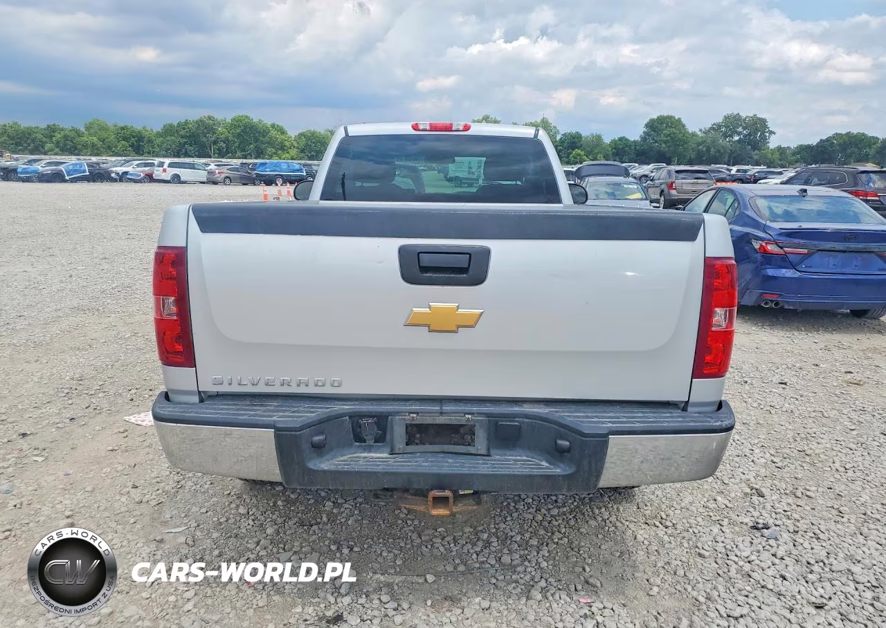 2012 Chevrolet Silverado C1500 VIN:1GCNCPEX6CZ345531 - 6