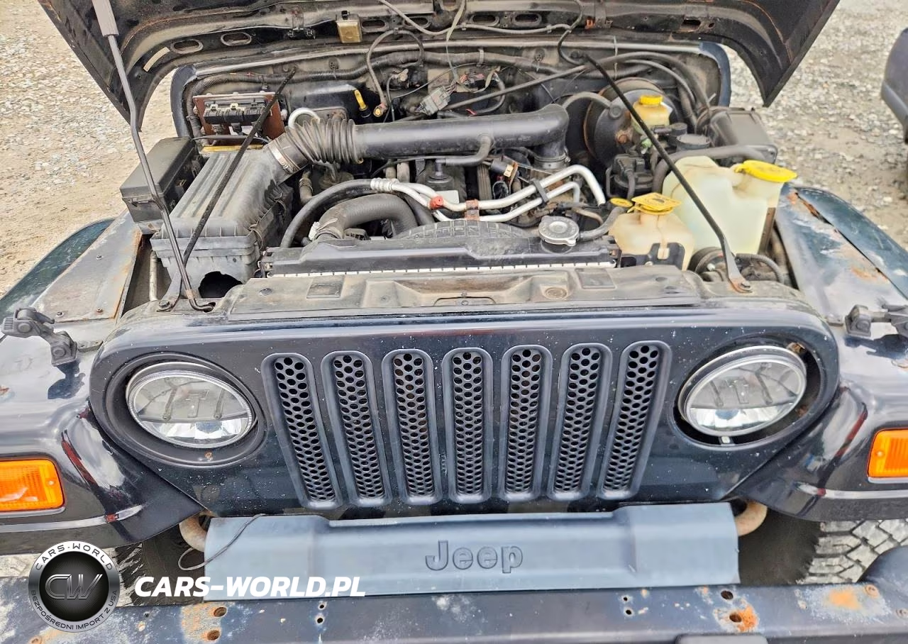 2001 Jeep Wrangler - Tj Sahara VIN:1J4FA59S91P316718 - 11