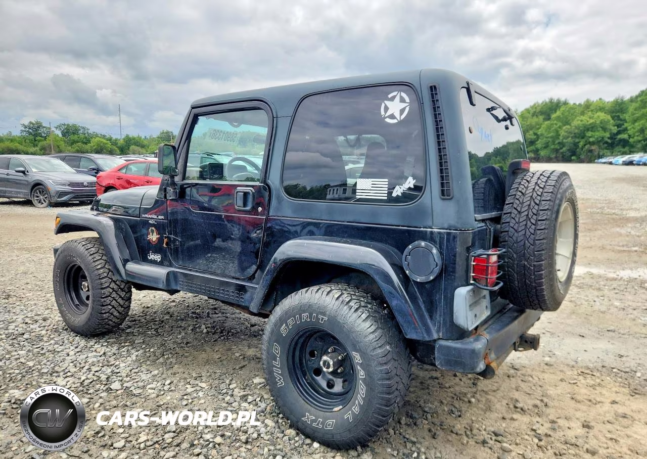 2001 Jeep Wrangler - Tj Sahara VIN:1J4FA59S91P316718 - 2