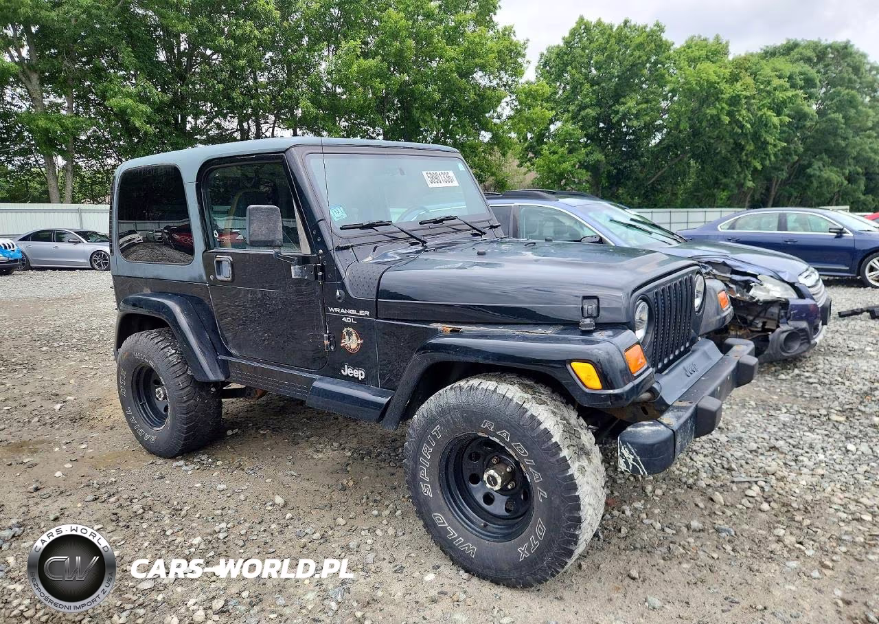 2001 Jeep Wrangler - Tj Sahara VIN:1J4FA59S91P316718 - 4