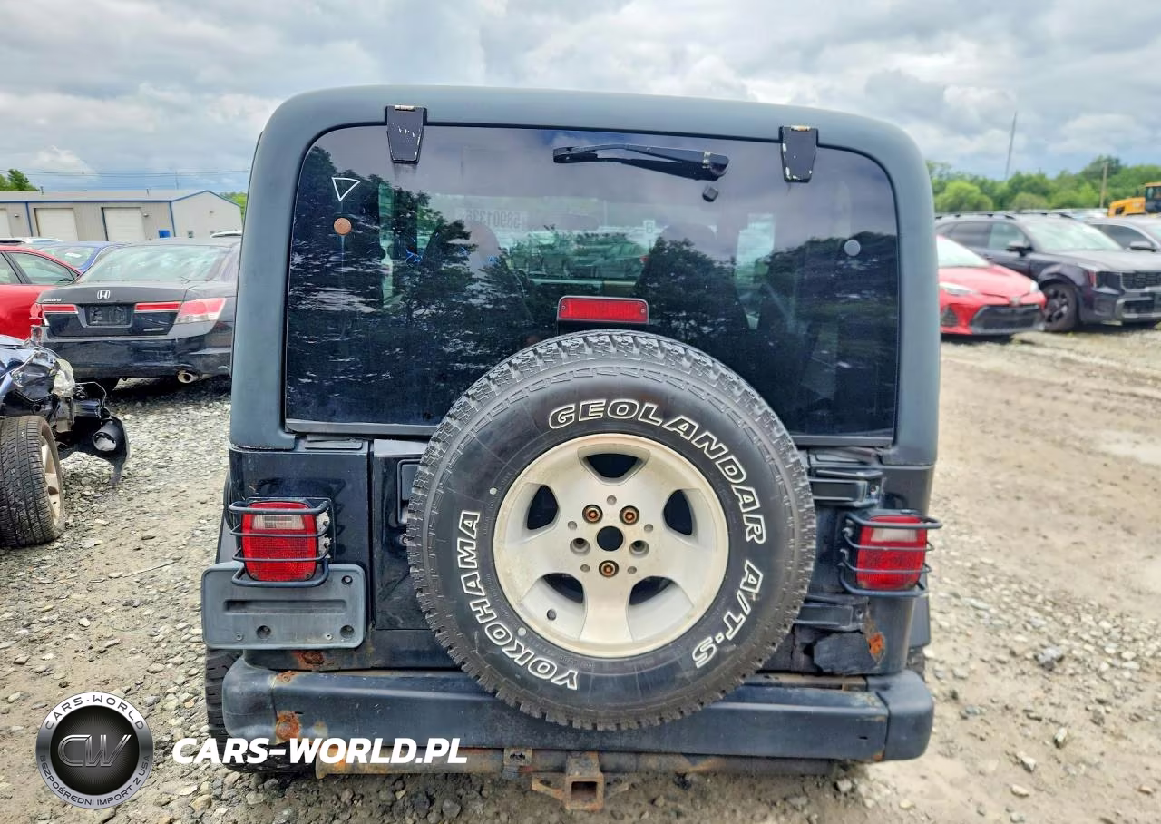 2001 Jeep Wrangler - Tj Sahara VIN:1J4FA59S91P316718 - 6