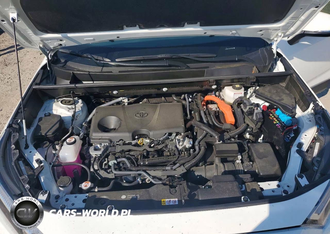 2025 Toyota Rav4 Hybrid Xle VIN:JTMRWRFV3SD339005 - 12