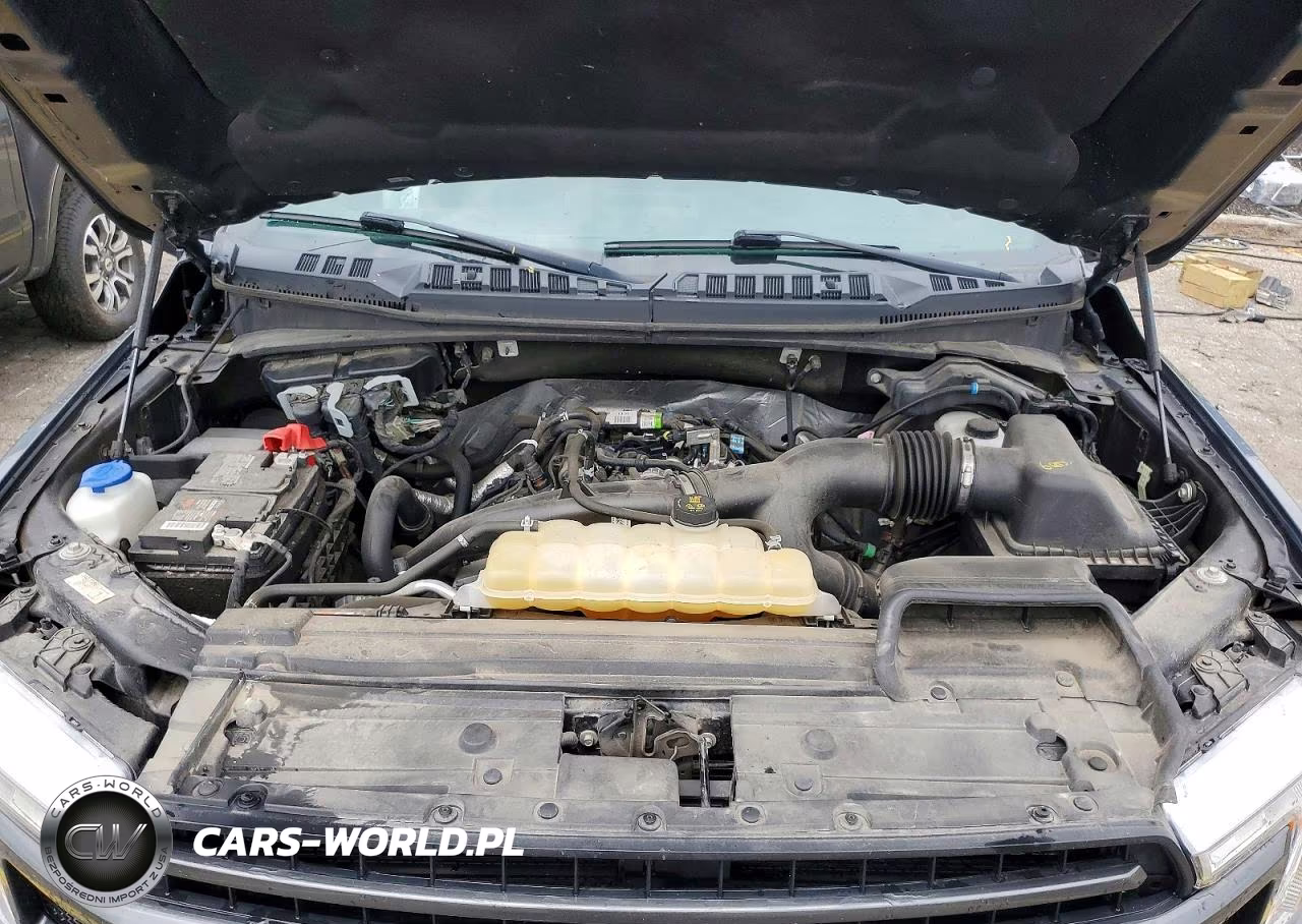 2020 Ford F150 Supercrew VIN:1FTEW1EP0LFB32497 - 11