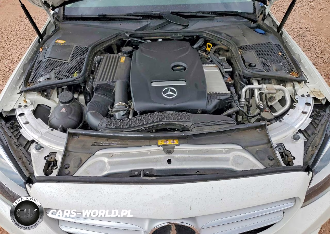 2016 Mercedes-Benz C 300 VIN:55SWF4JB3GU146032 - 11