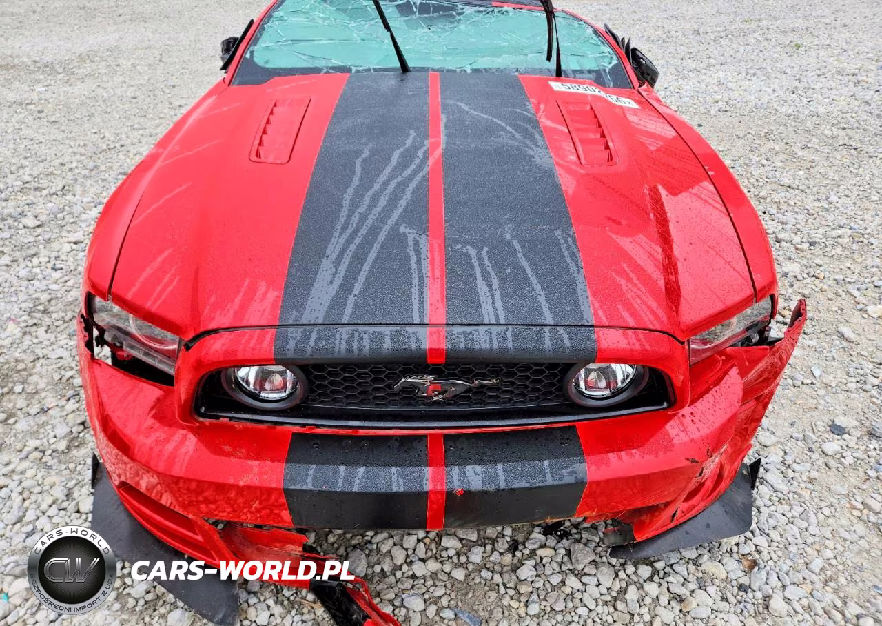 2014 Ford Mustang Gt VIN:1ZVBP8FF5E5291066 - 11